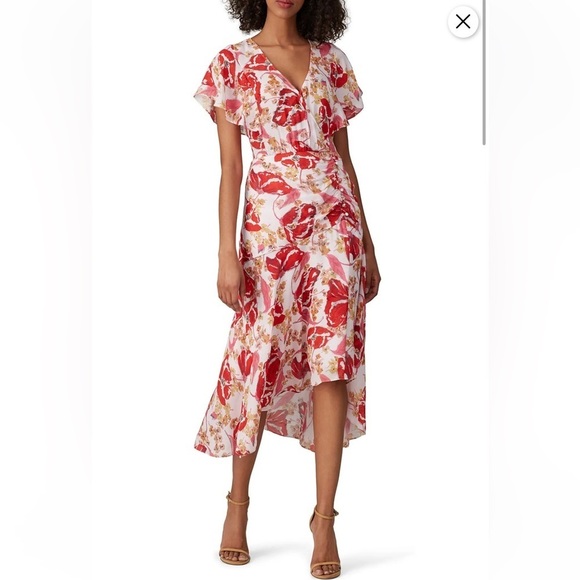 Parker Vivi Dress - Picture 1 of 9